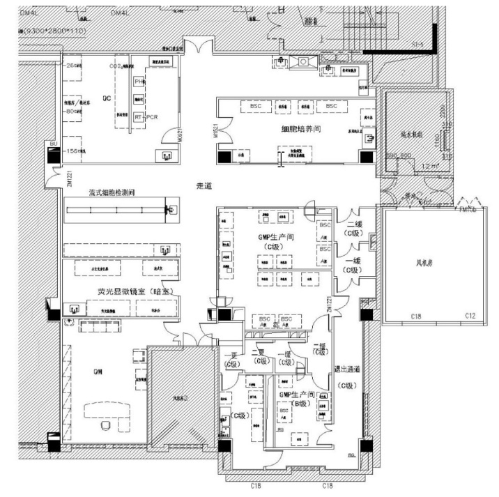 干細(xì)胞實(shí)驗(yàn)室平面布局圖